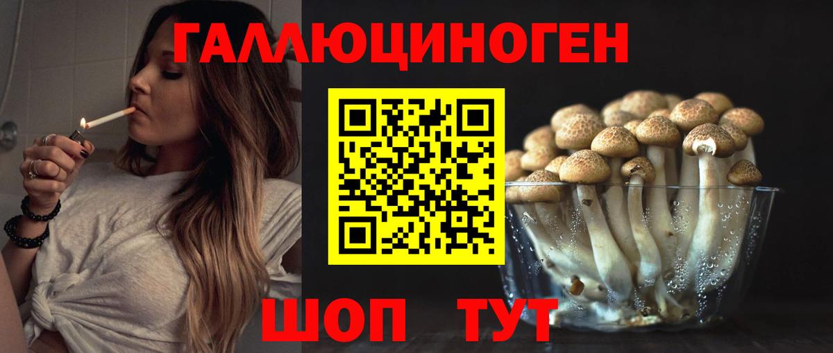Коммунар  Галлюциногенные грибы Cubensis  Вход с VPN  Псилоцибиновые грибы Psilocybe 