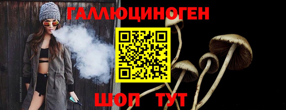 Галлюциногенные грибы прущие грибы Коммунар